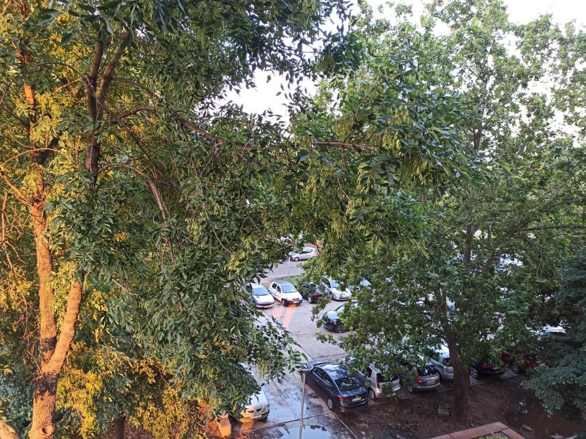 Feel Danube Apartment Zemun Exterior foto